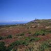 Channel Islands National Park / `lACh