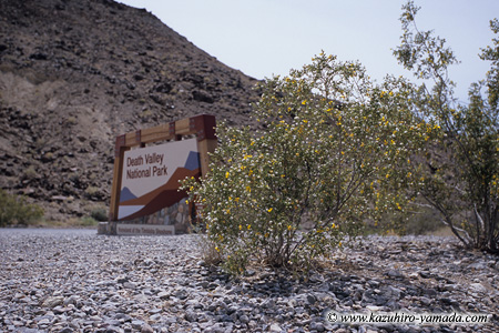Park Entrance / ��������