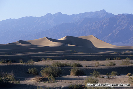 Sand Dunes (1) / ���u