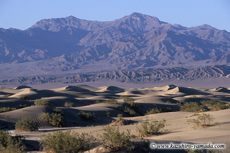 Sand Dunes (2) / ���u