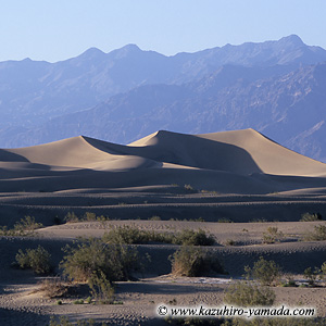 Death Valley National Park / �f�X�o���[��������
