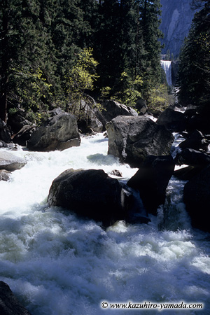 Merced River and Vernal Fall / �}�Z�[�h��ƃo�[�i����