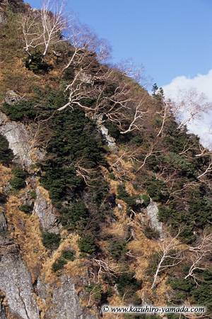 Kurobe / ����