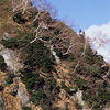 Kurobe / ����