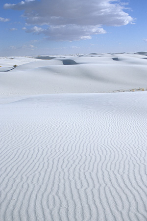 White Sands National Monument / �z���C�g�T���Y�������