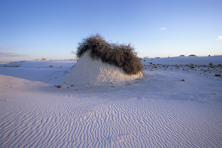 White Sands National Monument / �z���C�g�T���Y�������