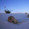 White Sands National Monument / �z���C�g�T���Y�������