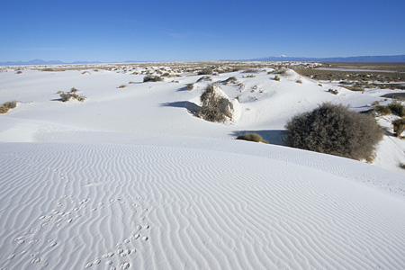 White Sands National Monument / �z���C�g�T���Y�������
