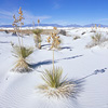 White Sands National Monument / �z���C�g�T���Y�������