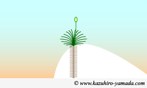 White Sands / �z���C�g�T���Y