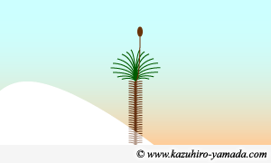 White Sands / �z���C�g�T���Y