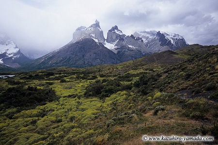 Parque Nacional Torres del Paine / g[XEfEpCl