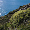 Parque Nacional Torres del Paine / �g���[�X�E�f���E�p�C�l��������