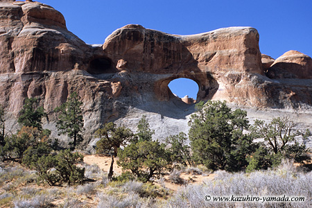 Arches National Park / �A�[�`�[�Y��������