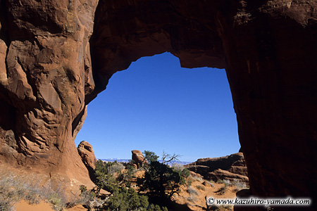 Arches National Park / �A�[�`�[�Y��������