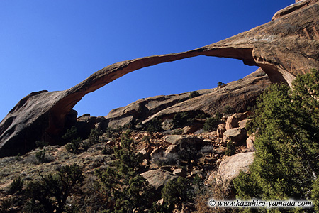 Arches National Park / �A�[�`�[�Y��������