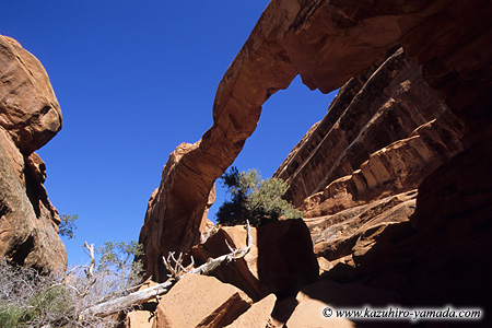 Arches National Park / �A�[�`�[�Y��������