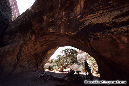 Arches National Park / �A�[�`�[�Y��������
