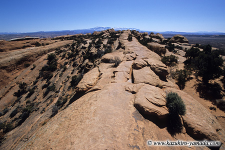 Arches National Park / �A�[�`�[�Y��������