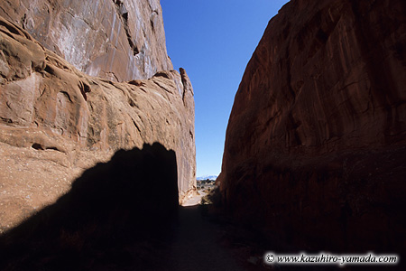 Arches National Park / �A�[�`�[�Y��������