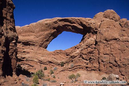 Arches National Park / �A�[�`�[�Y��������