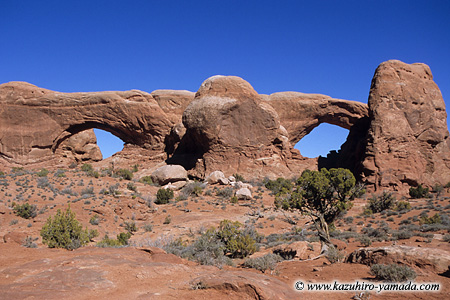 Arches National Park / �A�[�`�[�Y��������