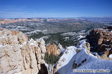 Bryce Canyon National Park / �u���C�X�L���j�I����������