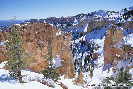 Bryce Canyon National Park / �u���C�X�L���j�I����������