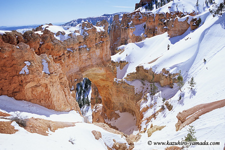 Bryce Canyon National Park / �u���C�X�L���j�I����������