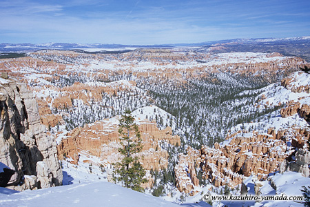 Bryce Canyon National Park / �u���C�X�L���j�I����������