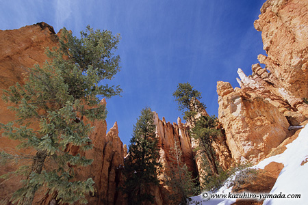 Bryce Canyon National Park / �u���C�X�L���j�I����������