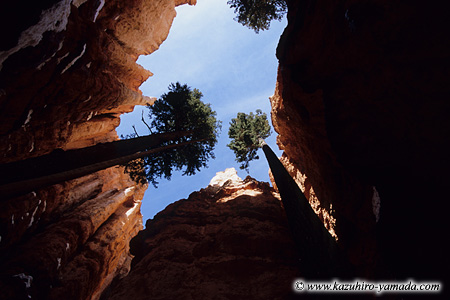 Bryce Canyon National Park / �u���C�X�L���j�I����������