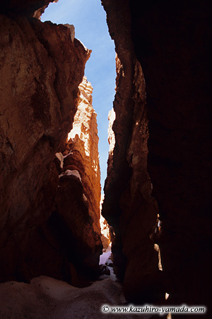 Bryce Canyon National Park / �u���C�X�L���j�I����������