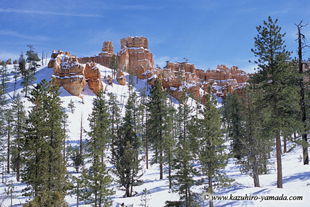 Bryce Canyon National Park / �u���C�X�L���j�I����������