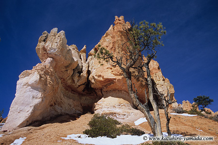 Bryce Canyon National Park / �u���C�X�L���j�I����������