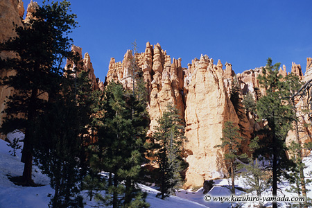 Bryce Canyon National Park / �u���C�X�L���j�I����������
