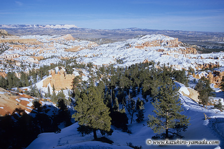 Bryce Canyon National Park / �u���C�X�L���j�I����������