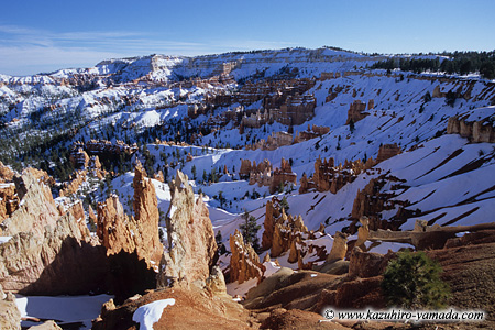 Bryce Canyon National Park / �u���C�X�L���j�I����������