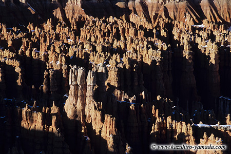 Bryce Canyon National Park / �u���C�X�L���j�I����������