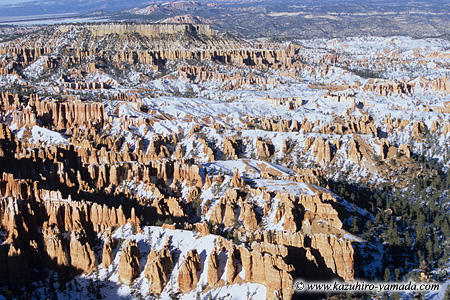 Bryce Canyon National Park / �u���C�X�L���j�I����������
