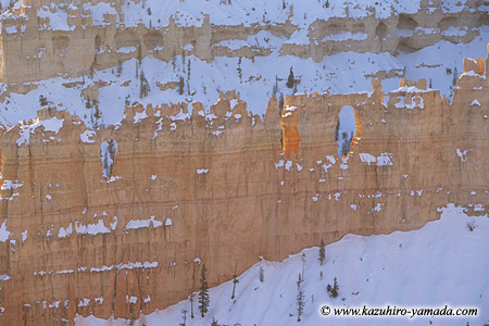 Bryce Canyon National Park / �u���C�X�L���j�I����������
