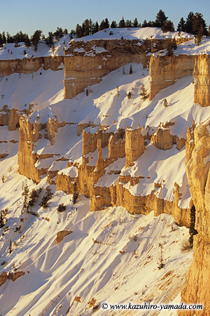 Bryce Canyon National Park / �u���C�X�L���j�I����������