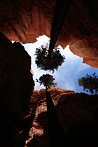 Bryce Canyon 2011 / �u���C�X�L���j�I��2011