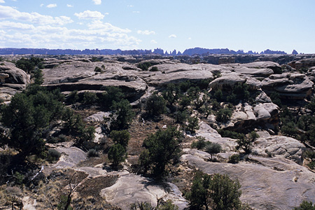 Canyonlands National Park / �L���j�I�������Y��������