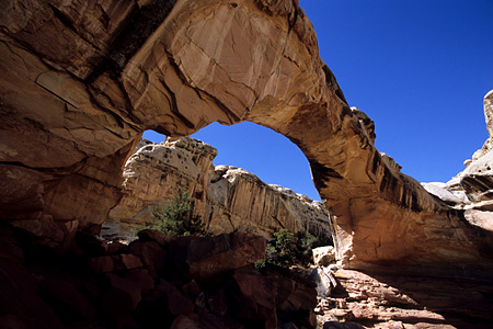 Capitol Reef National Park / �L���s�g�����[�t��������