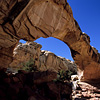 Capitol Reef National Park / �L���s�g�����[�t��������