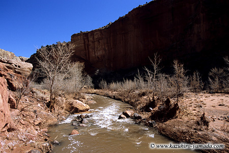 Capitol Reef National Park / �L���s�g�����[�t��������