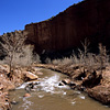 Capitol Reef National Park / �L���s�g�����[�t��������