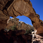 Capitol Reef 2004 / �L���s�g�����[�t2004