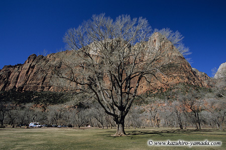 Zion National Park / �U�C�I����������